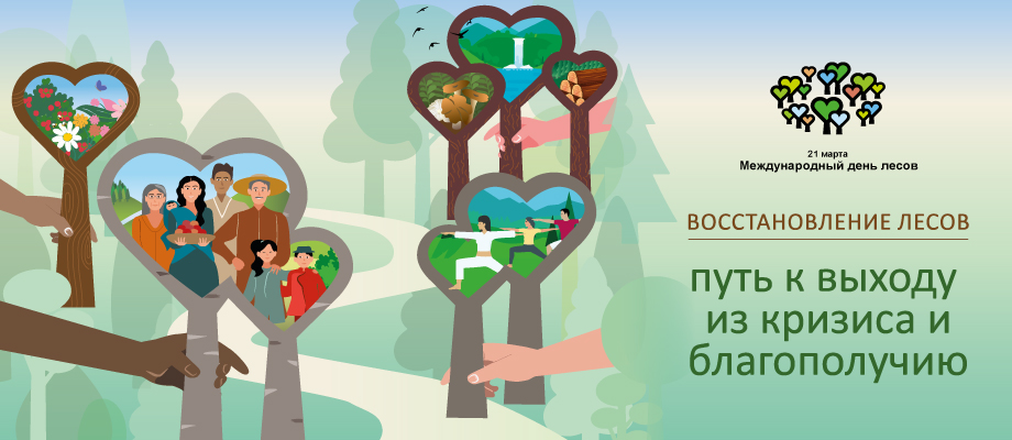 IDF WEB BANNER 900X400 RU